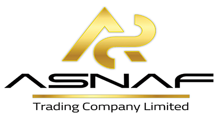 logo asnn
